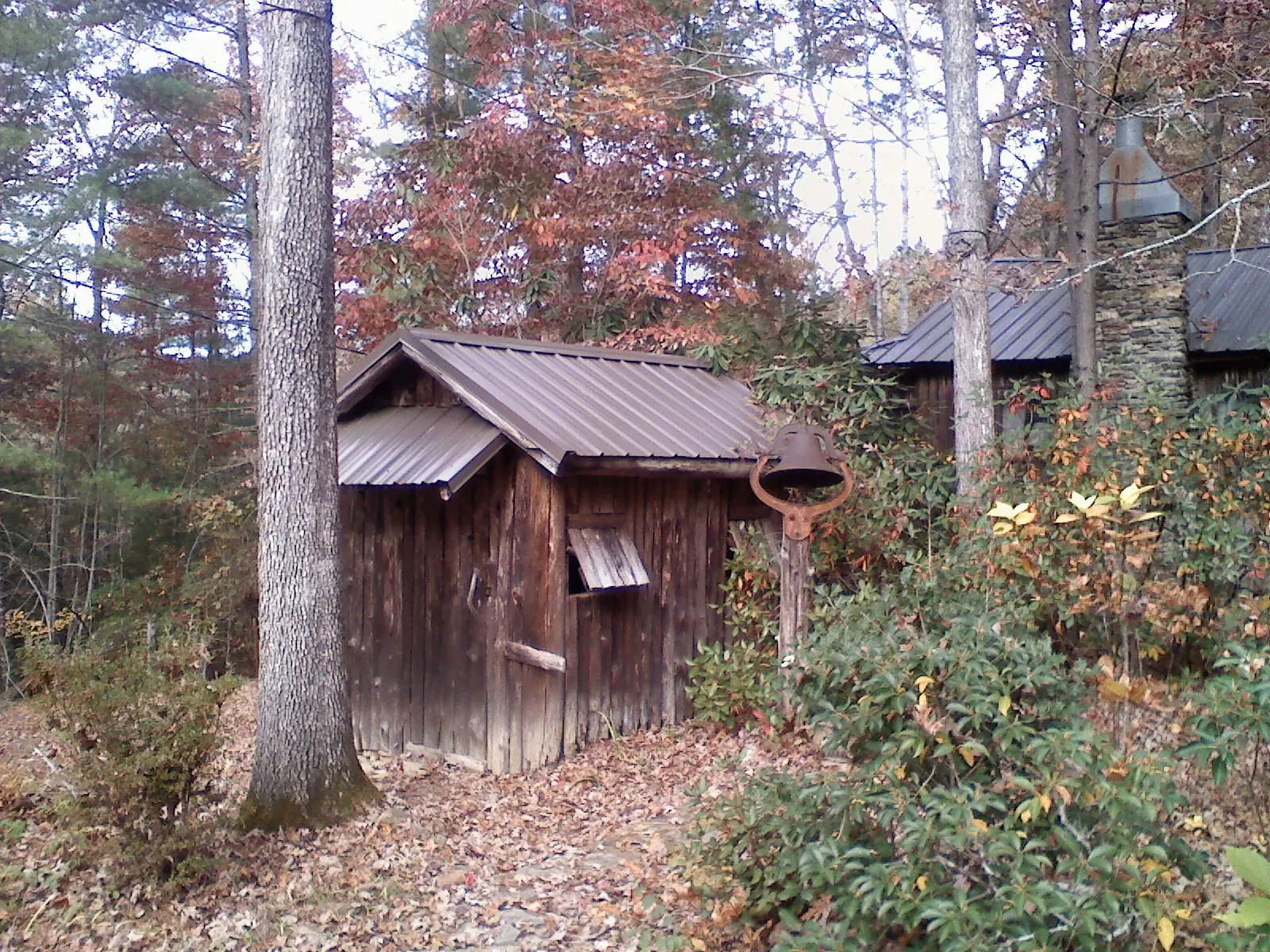 Small metal roof on a rough sawn shed in the woods in Edgerton